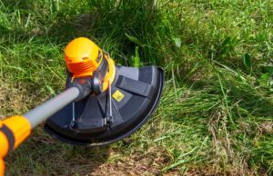 How to use a grass trimmer