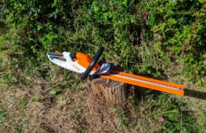 Stihl HSA 40 Review