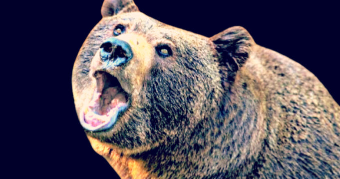 300-Pound Black Bear Mauls Florida Man and His Dog in First Ursine Killing in the State | The Gateway Pundit