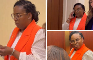 LaMonica McIver Appears Before Judge on Federal Charges – Ordered to Surrender Firearms, Cannot Leave US – Faces EIGHT YEARS in Prison | The Gateway Pundit