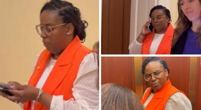 LaMonica McIver Appears Before Judge on Federal Charges – Ordered to Surrender Firearms, Cannot Leave US – Faces EIGHT YEARS in Prison | The Gateway Pundit