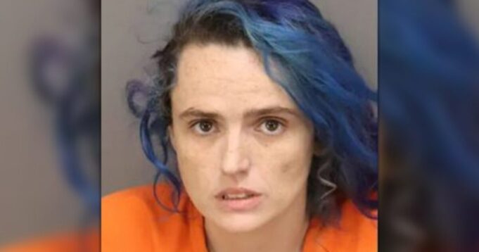 MORE LEFTIST VIOLENCE: Florida Woman Attacks Elderly Trump Fan Wearing a MAGA Hat and Then Reportedly Assaults Cop – Is Hit With Multiple Charges and Released from Jail | The Gateway Pundit
