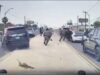 Texas DPS Arrest Human Smuggler, Numerous Illegals Running from Vehicle Can Be Seen on Dashcam (VIDEO) | The Gateway Pundit