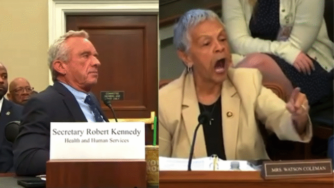 Hate-Filled Rep. Bonnie Watson Coleman Goes on Disrespectful Race-Baiting Attack Against RFK Jr in Committee Hearing – RFK Hilariously Shuts Her Down When Time Expires and She Replies, “So Has Your Legitimacy!” (VIDEO) | The Gateway Pundit