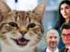 Department of Defense Confirms Cancellation of Cruel and Deadly Cat Experiments Following Campaign by Laura Loomer and White Coat Waste | The Gateway Pundit