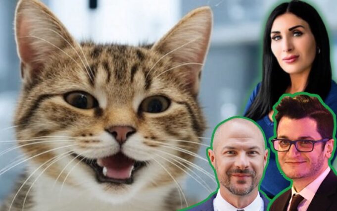 Department of Defense Confirms Cancellation of Cruel and Deadly Cat Experiments Following Campaign by Laura Loomer and White Coat Waste | The Gateway Pundit