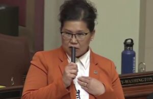 Democrat Minnesota State Rep. Gaslights the Public with INSANE Statement After Claiming She is in the US Illegally in Shocking House Floor Speech | The Gateway Pundit