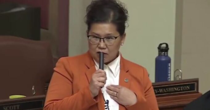 Democrat Minnesota State Rep. Gaslights the Public with INSANE Statement After Claiming She is in the US Illegally in Shocking House Floor Speech | The Gateway Pundit