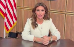 House Democrats Target Alina Habba Over Her Federal Criminal Case Against Rep. LaMonica McIver | The Gateway Pundit