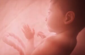 Man Defaces Pro-life Exhibit at UCLA – Campus So Far Has Not Publicly Responded to the Incident | The Gateway Pundit