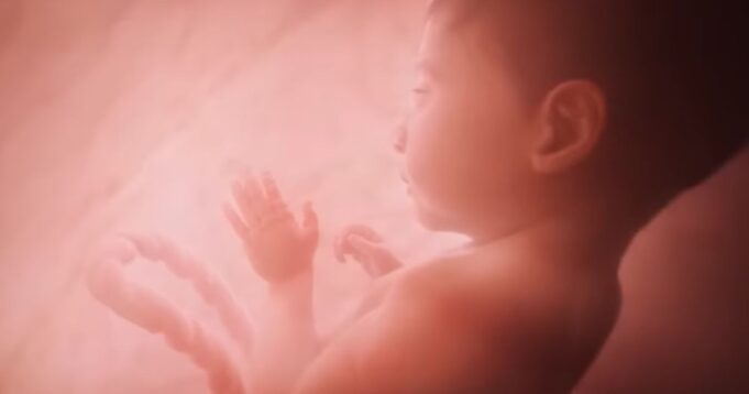 Man Defaces Pro-life Exhibit at UCLA – Campus So Far Has Not Publicly Responded to the Incident | The Gateway Pundit