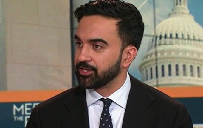 Zohran Mamdani Devastates Trump With A Single Observation
