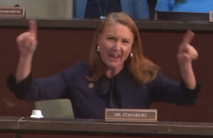 UNHINGED Democrat Rep. Melanie Stansbury Promotes “No Kings” Protests and Expected Violence This Weekend During Hearing with Sanctuary State Governors – Compares Trump to a “Mad King” (VIDEO) | The Gateway Pundit