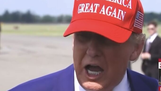 WATCH: President Trump Destroys “Incompetent Governor” Gavin Newsom, Signals National Guard Could be Used in Other Sanctuary Cities: “We Saved Los Angeles” | The Gateway Pundit