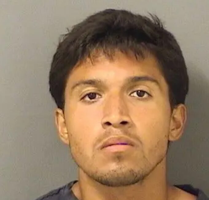 Man Arrested For Jumping Over President Trump’s Mar-a-Lago Wall | The Gateway Pundit