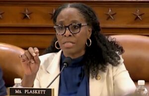 Democrat Stacey Plaskett Lashes Out at Critic After Her Meltdown Against Treasury Bessent in Profanity-Laced Tirade – “C*nt” – “Twa*” | The Gateway Pundit