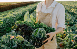 Research Suggests Pesticides May Be Linked To Parkinson’s
