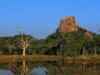 Best National Parks for Wildlife Safaris in Sri Lanka