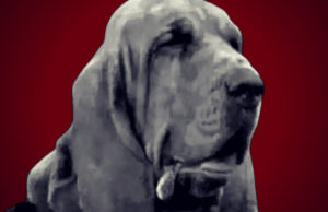 THE BRUNO CONTROVERSY: Beloved Italian Police Bloodhound, Famous for Rescuing People, Is Killed With Nail-Laced Sausages – Trainer Threatens Perpetrators With Payback | The Gateway Pundit