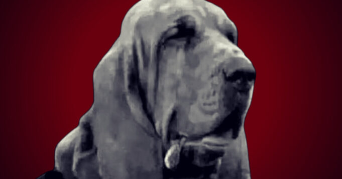 THE BRUNO CONTROVERSY: Beloved Italian Police Bloodhound, Famous for Rescuing People, Is Killed With Nail-Laced Sausages – Trainer Threatens Perpetrators With Payback | The Gateway Pundit
