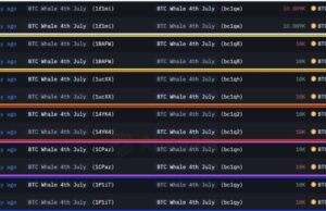 WILD: Over the Past 24 Hours Eight Dormant Bitcoin Wallets Were Awakened for First Time in 14 Years on the 4th of July Withdrawing 80.009 Bitcoins Equaling $8.69 Billion | The Gateway Pundit
