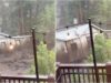 ANOTHER Catastrophic Flooding in New Mexico — River Surges Over 20 Feet, Homes Swept Away | The Gateway Pundit