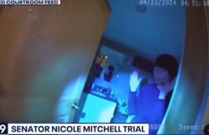 Minnesota Democrat Found Guilty of Felony Burglary – Faces 6 Months in Jail | The Gateway Pundit