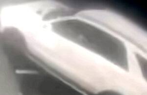 SHOCK VIDEO: Italian Socialite Charged With Murder After Repeatedly Running Over Moroccan Thief With Her Car, Faces Life in Prison | The Gateway Pundit