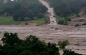 Backlash Over Cartoon Mocking Trump Supporting Victims of Texas Flood Causes Museum to Postpone Journalism Event | The Gateway Pundit