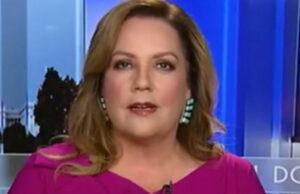 Mollie Hemingway on Zohran Mamdani: ‘A Disaster in Waiting if People Go Down This Path’ (VIDEO) | The Gateway Pundit