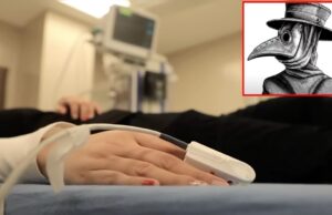 Arizona Resident Dies from Rare Septicemic Form of “Black Death” Plague | The Gateway Pundit