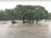 Leftist Ghouls Celebrate Texas Flooding That Killed 32 People, Including 14 Christian Children | The Gateway Pundit