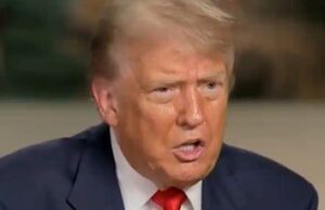 BREAKING: Rogue Judge Defies Supreme Court Ruling on Injunctions, Blocks Trump’s Order Ending Birthright Citizenship for Illegal Aliens | The Gateway Pundit