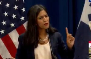 Speaker at DNC Summer Meeting Tells Democrats That Carjackings Don’t Matter to Many Americans (VIDEO) | The Gateway Pundit