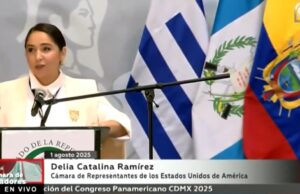 Dem Rep. Delia Ramirez Declares ICE a ‘Terrorist Organization’ (VIDEO) | The Gateway Pundit