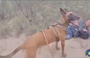 VIDEO: Texas DPS Uses K9 Unit to Track Illegal Aliens in Brush | The Gateway Pundit