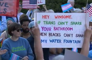 Democrat Official in Virginia Blames Black Republican Winsome Sears for Racist Sign a Liberal Held at Her Event | The Gateway Pundit