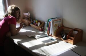 New Jersey Democrats Want to Force DEI and Wellness Checks on Homeschooled Children | The Gateway Pundit