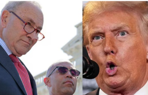 Trump’s Mental Decline Is So Severe That He’s Not Allowed To Meet Alone With Democrats