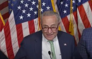 House Democrats Are Right To Demand That Schumer Shut Down The Government