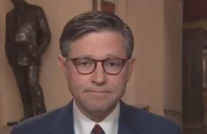 Mike Johnson Seems To Be Have Some Sort Of Breakdown Over The Shutdown He Is Causing
