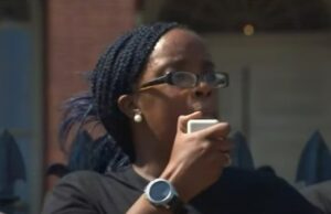 Black Lives Matter Activist in Boston Pleads Guilty to Federal Fraud Charges – Scammed Donors to Fund Her Lifestyle | The Gateway Pundit