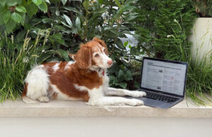 Explaining, at some length, Techmeme’s 20 years of consistency