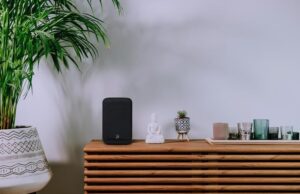 The Bluesound Pulse Flex arrives with lossless audio support