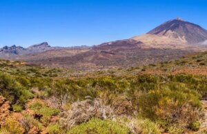 The Complete Guide to Tenerife Day Trips: From Iconic Peaks to Hidden Gems