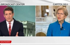 Elizabeth Warren Loses Her Mind When Journalist Notes That Democrats Actually Do Want Healthcare for Illegals on the Taxpayers’ Dime (VIDEO) | The Gateway Pundit