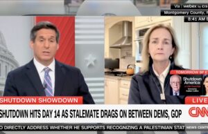 Democrat Rep. Madeleine Dean Fumes as President Trump Uses Unspent Funds to Pay Troops During Democrat Shutdown | The Gateway Pundit