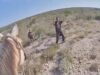 Texas DPS Mounted Patrol and K9 Unit Track Illegal Alien Felon with Numerous Previous Deportations (VIDEO) | The Gateway Pundit