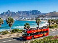 Best Time for a Cape Town Bus Tour: Seasonal Weather & Travel Tips