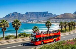 Best Time for a Cape Town Bus Tour: Seasonal Weather & Travel Tips